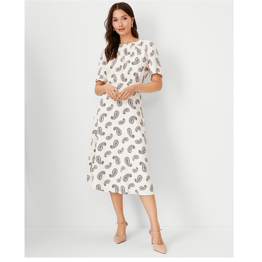 NWT Ann Taylor Paisley Gathered Flare Dress (Size 0, 4)